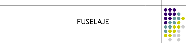 FUSELAJE