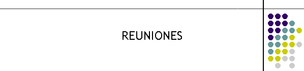 REUNIONES